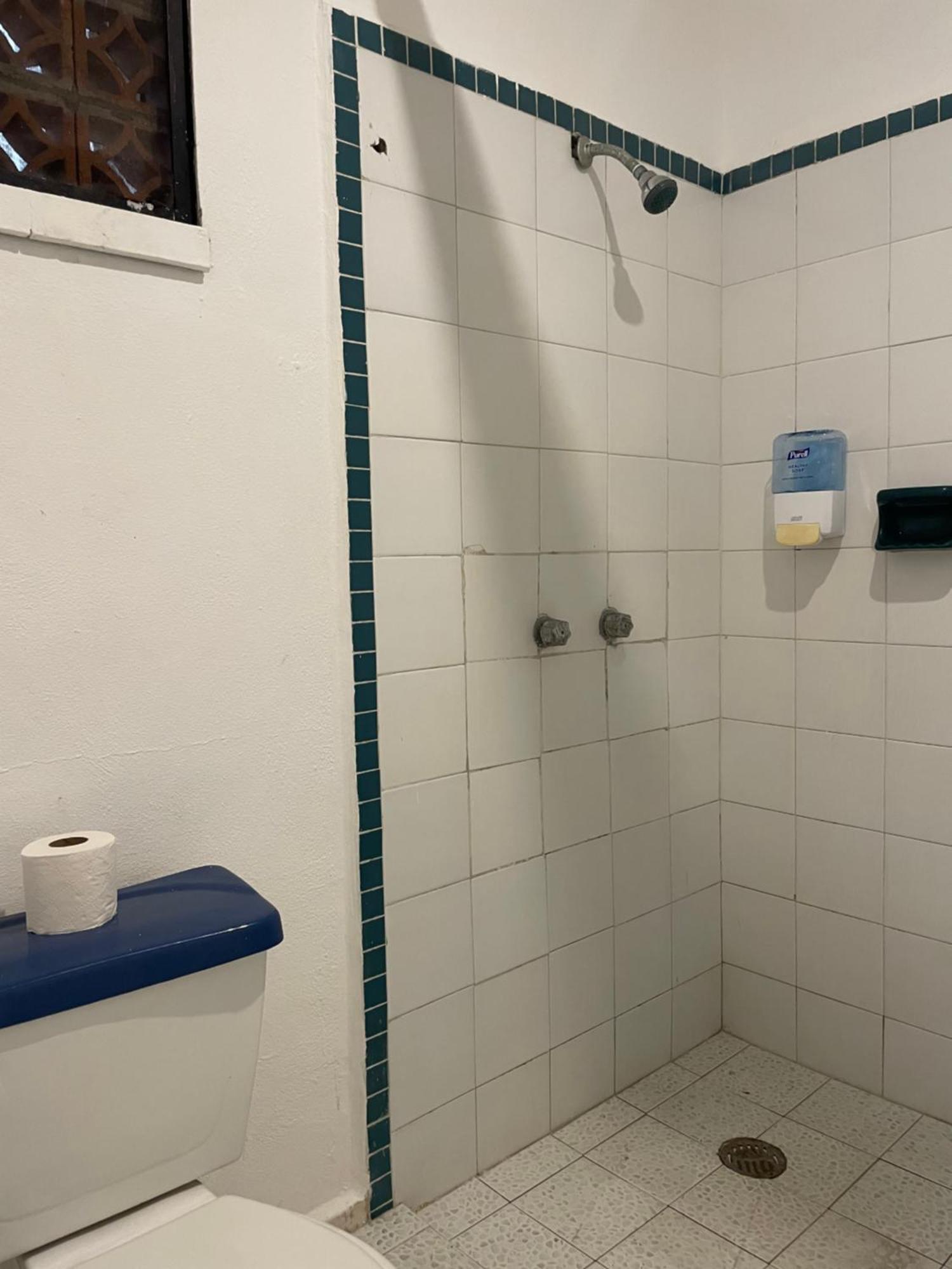 Hotel Manzana Verde 5Th Avenue Playa del Carmen Zewnętrze zdjęcie
