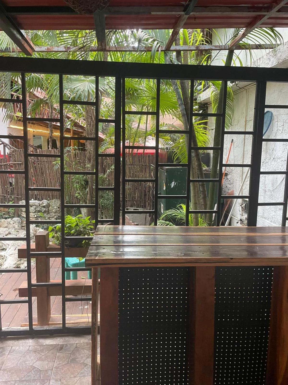 Hotel Manzana Verde 5Th Avenue Playa del Carmen Zewnętrze zdjęcie